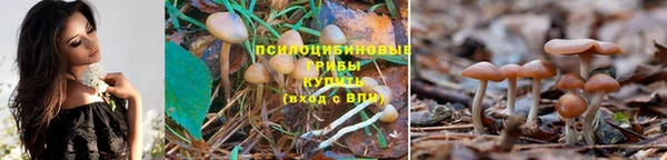 соль курить ск Аркадак