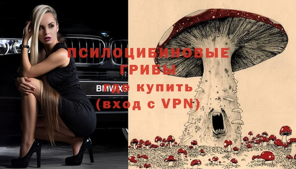 стафф Армянск