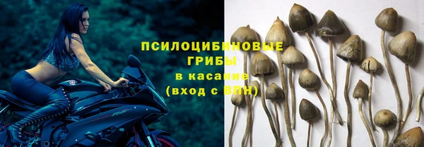 jwh Арсеньев