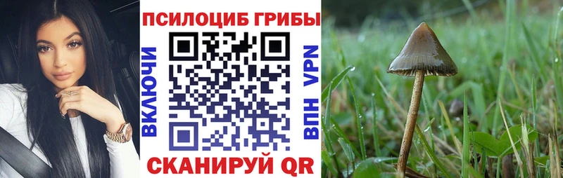 MEGA ССЫЛКА  что такое   Сураж  Галлюциногенные грибы мицелий 